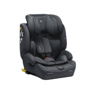 car_seats_i-bronn_gray_1_31002140010